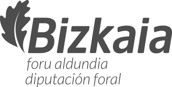 Diputación Bizkaia - Bizkaiko foru aldundia