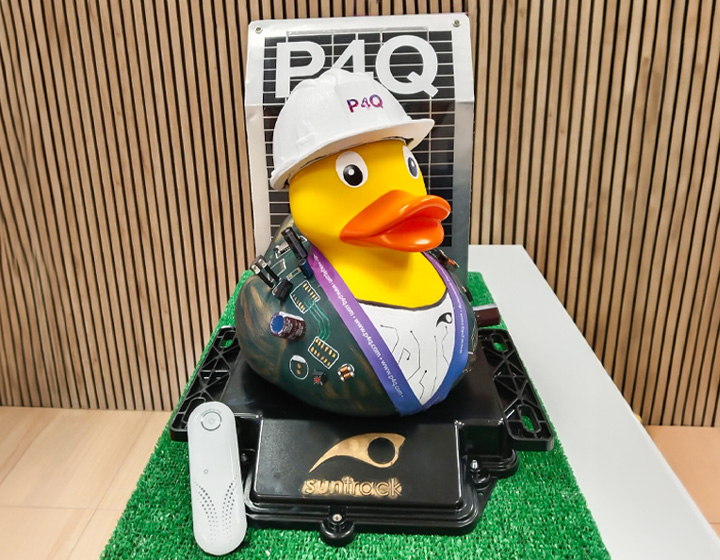 Pato XXL de la competición de empresas y grupos WOPaton