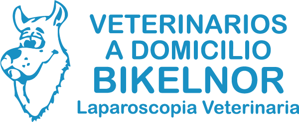 Bikelnor: Points of sale Estropatada Bilbao